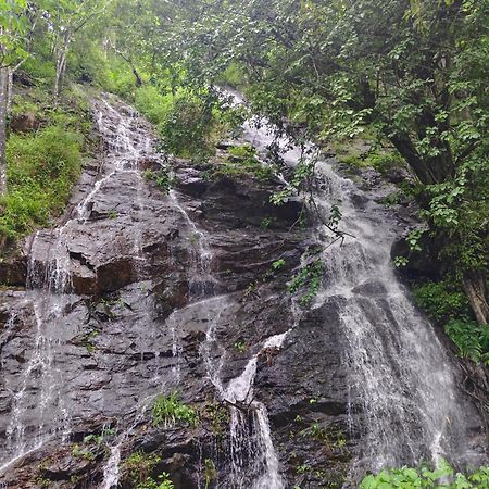 Coorg Divine Spark Home Stay Suntikoppa Eksteriør bilde