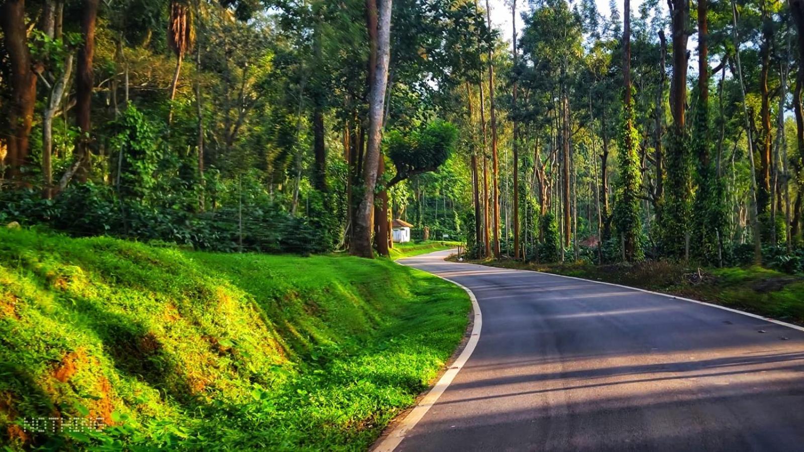 Coorg Divine Spark Home Stay Suntikoppa Eksteriør bilde