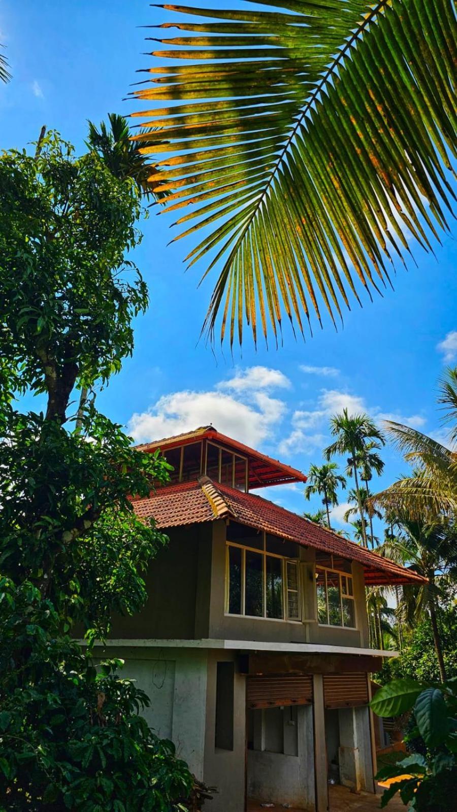 Coorg Divine Spark Home Stay Suntikoppa Eksteriør bilde
