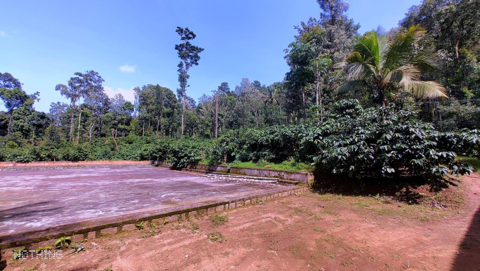 Coorg Divine Spark Home Stay Suntikoppa Eksteriør bilde