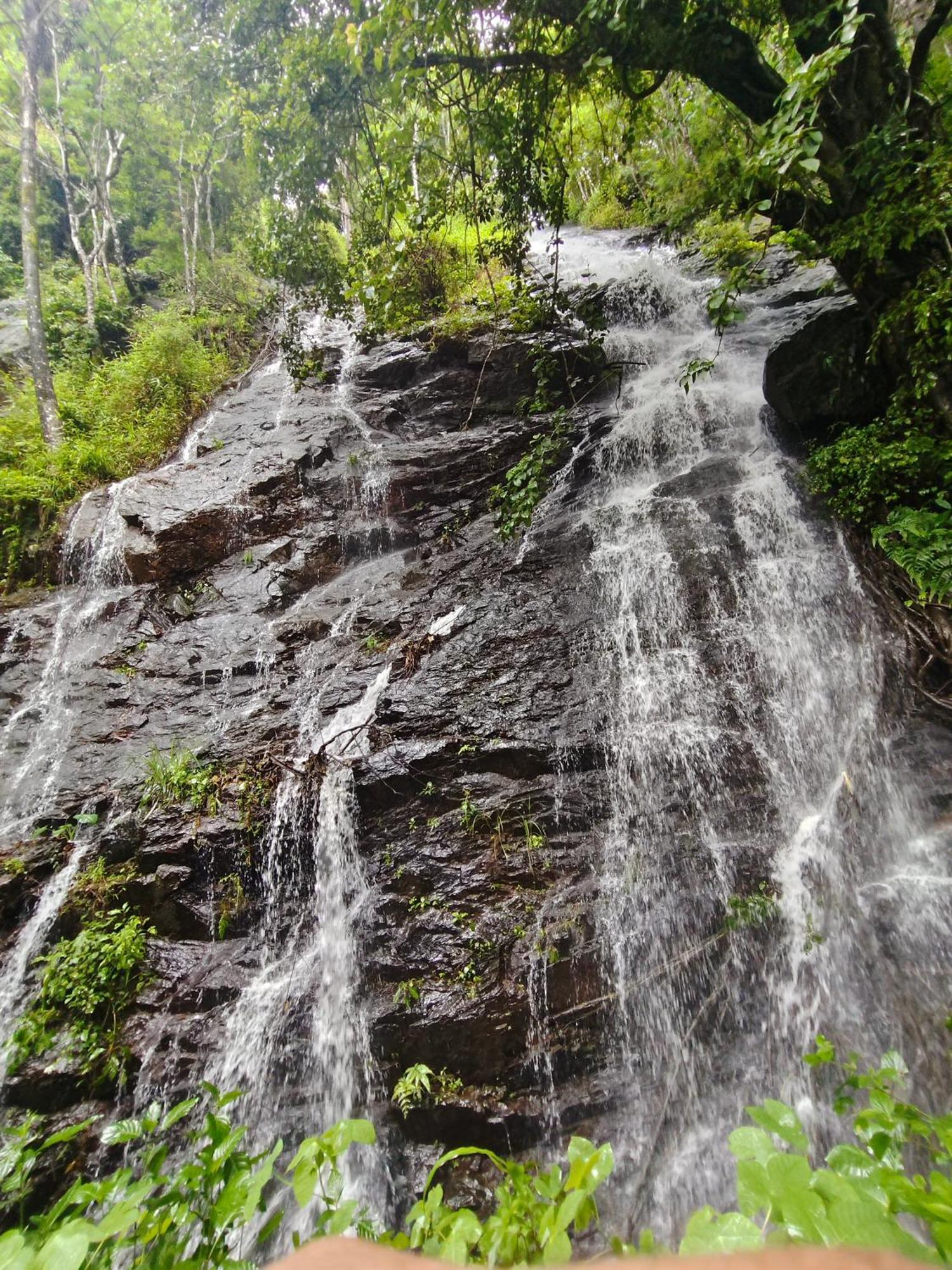 Coorg Divine Spark Home Stay Suntikoppa Eksteriør bilde